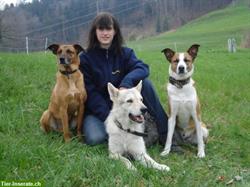 Home-Dog-Training-naef GmbH, Welpen Förderung & Hundeerziehung Zuhause