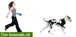 Bild 1: Homesitting, Dogsitting & Katzenbetreuung im Bezirk Arlesheim BL