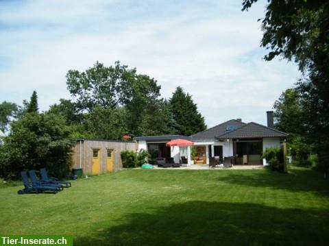 Bild 1: Ferienhaus «Blinkfuer 104» im Nordseebad in St. Peter-Ording