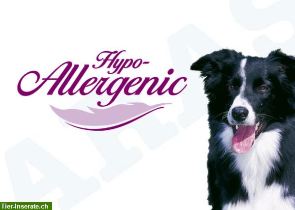 Bild 2: Premium ARAS® Hundenahrung - seit fast 30 Jahren begriff für Qualität