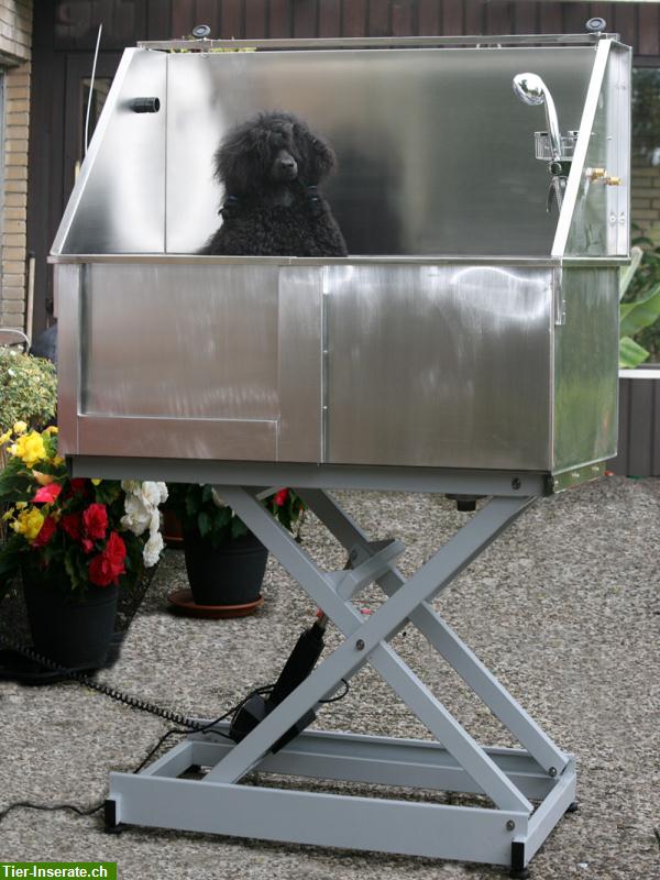 Bild 2: Elektische Edelstahl Hundebadewanne zu verkaufen
