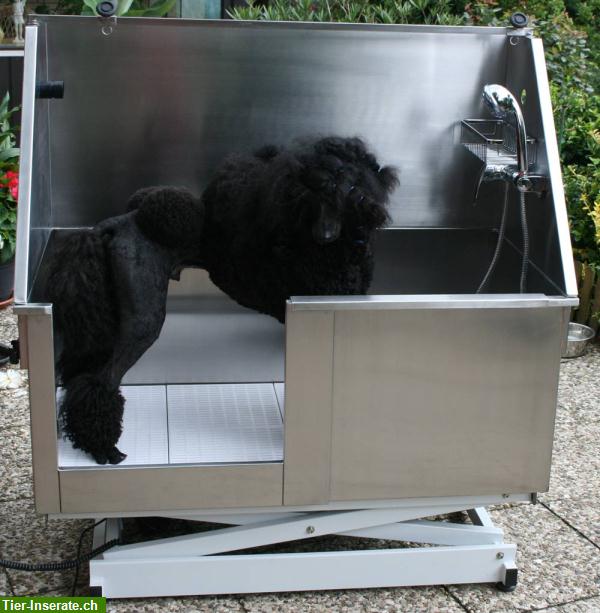 Bild 3: Elektische Edelstahl Hundebadewanne zu verkaufen