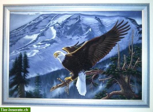 Bild 2: TOP: Wölfe und Adler Ölgemälde von Pine - Laurens Tsai Kwan