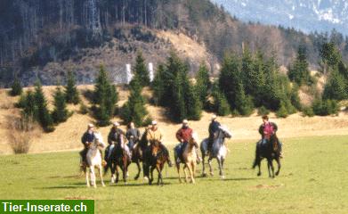 Bild 3: Reiterferien mit dem eigenen Pferd in Tirol/Österreich