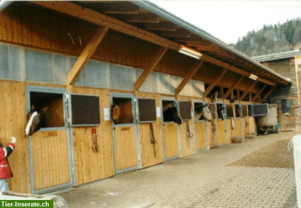 Bild 4: Reiterferien mit dem eigenen Pferd in Tirol/Österreich