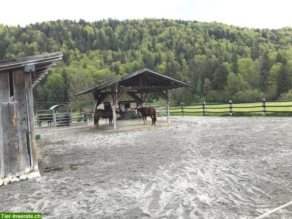 Bild 7: Reiterferien mit dem eigenen Pferd in Tirol/Österreich