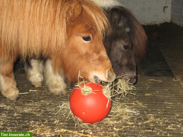 Bild 6: Raufutterball für Pferde, Ponys, Esel, Schweine usw.