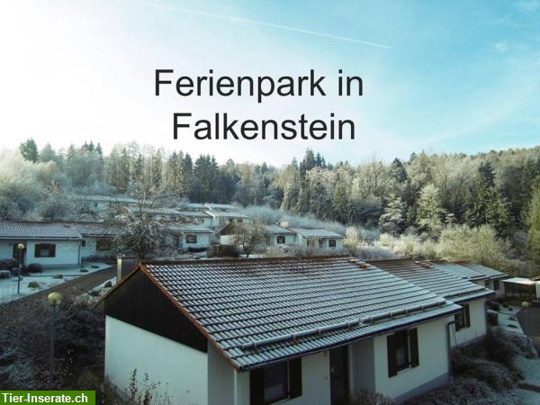Bild 2: Haustiere willkommen! Ferienwohnung im Bayerischen Wald! Ferienpark Falkenstein