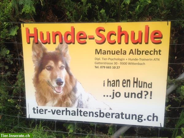 Bild 6: Hundeschule Tierpsychologie in der Ostschweiz