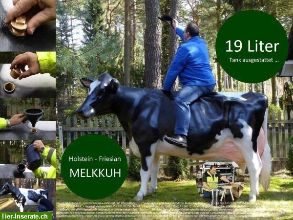 Bild 1: Deko Kuh Friesian Holstein, lebensgroß als Melkkuh mit 19 Liter Tank