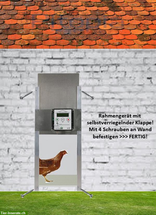 Bild 2: Automatische Hühnerklappe direkt vom Hersteller