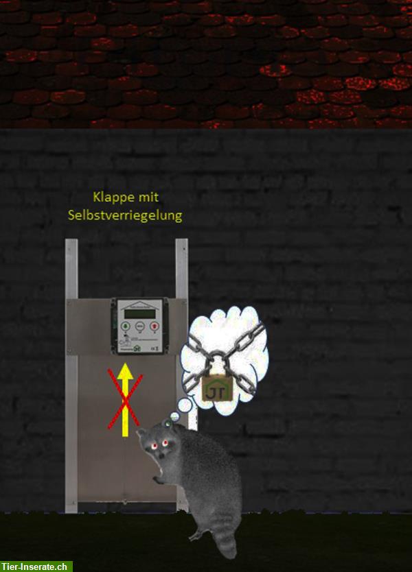 Bild 3: Automatische Hühnerklappe direkt vom Hersteller
