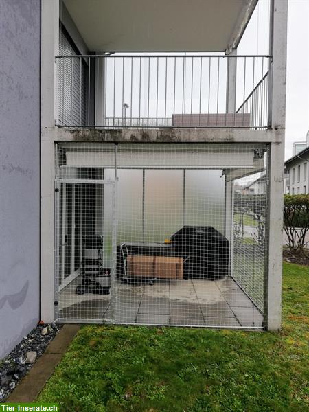 Bild 2: Katzenschutznetz Balkon, Terrasse etc. - Montage Schweizweit