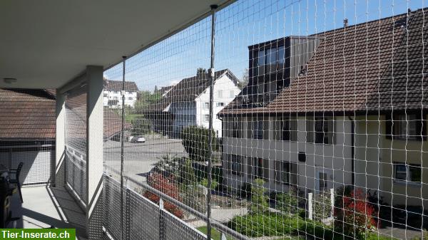 Bild 6: Katzenschutznetz Balkon, Terrasse etc. - Montage Schweizweit