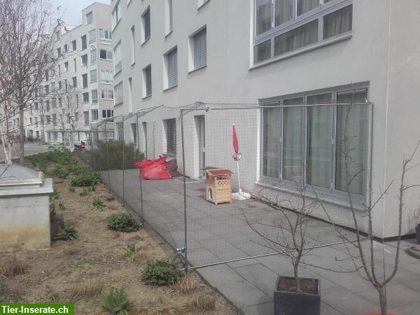 Bild 8: Katzenschutznetz Balkon, Terrasse etc. - Montage Schweizweit