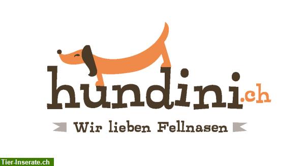 Bild 2: hundini.ch - Der Online-Shop für den WAU-Effekt!