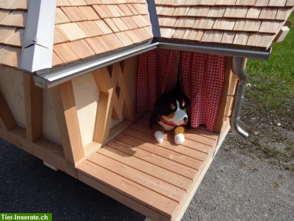 Bild 4: Unikat Hundehaus, einmaliges Objekt zu verkaufen