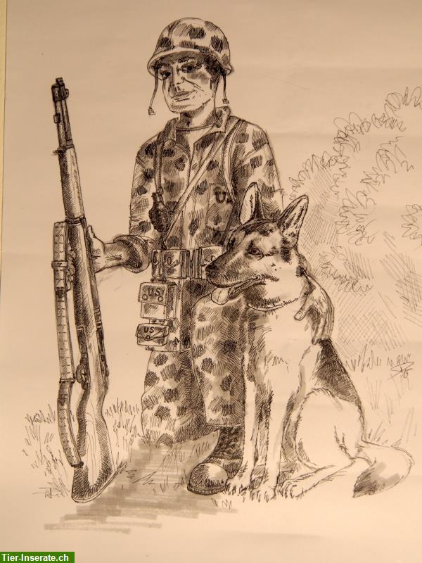 Bild 1: Ein Buch über Hunde im Krieg | Der Hund im Krieg