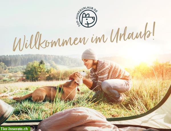 Bild 3: Top-Hundeurlaub.de - die schönsten Urlaubsangebote für Mensch und Hund!