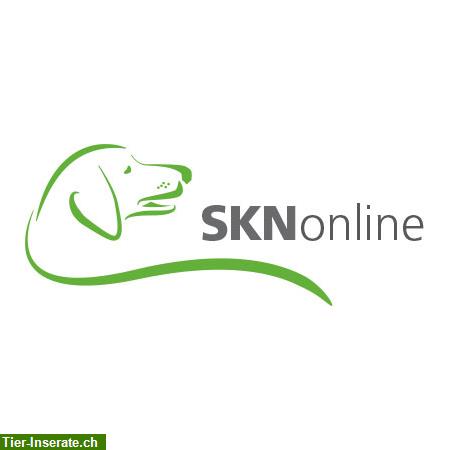 Bild 1: SKNonline: Die online Hundeschule für den Sachkundenachweis Hund (SKN)
