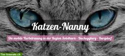 Katzen-Nanny <3 die mobile Katzenbetreuung vor Ort
