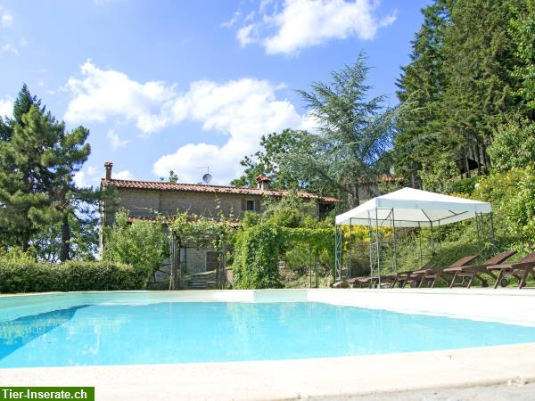 Bild 3: Wunderschönes Ferienhaus nahe Cortona in der Toskana