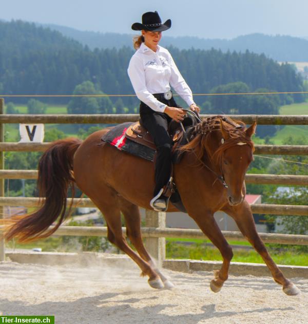 Bild 9: Reiten für Kinder & Erwachsene, Ausbildung von Pferden & Ponys