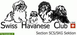Swiss Havanese Club / Havaneser / Bichons Havanais Club Suisse