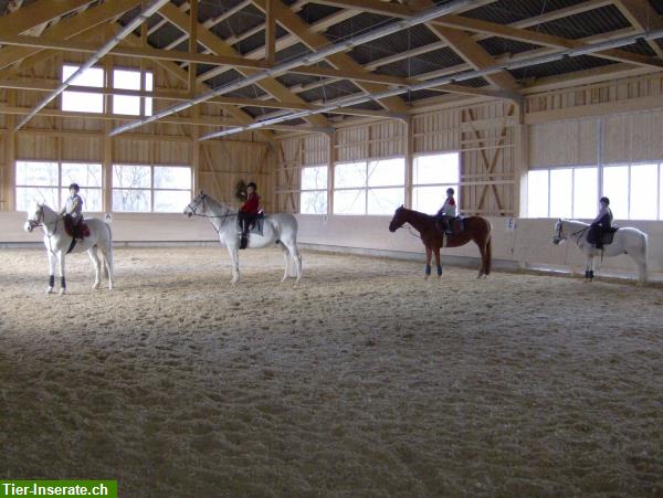 Bild 6: Grosse, helle Pferdeboxen mit direktem Auslauf im Aargau