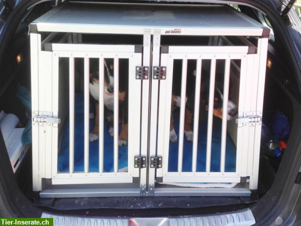 Bild 10: Top Hundeboxen in verschiedenen Grössen von PET HOMES AG