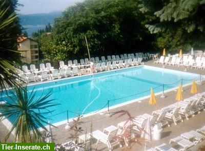 Bild 1: Ferienwohnung bis 10 Personen davon min. 2 Kinder Lago Maggiore