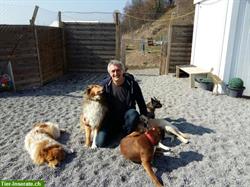 Lippi's Hundebetreuung in Rümlang und Region