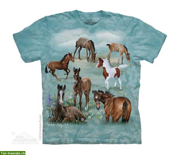 Bild 3: Wunderschöne Pferde T-Shirts für Pferdenarrs