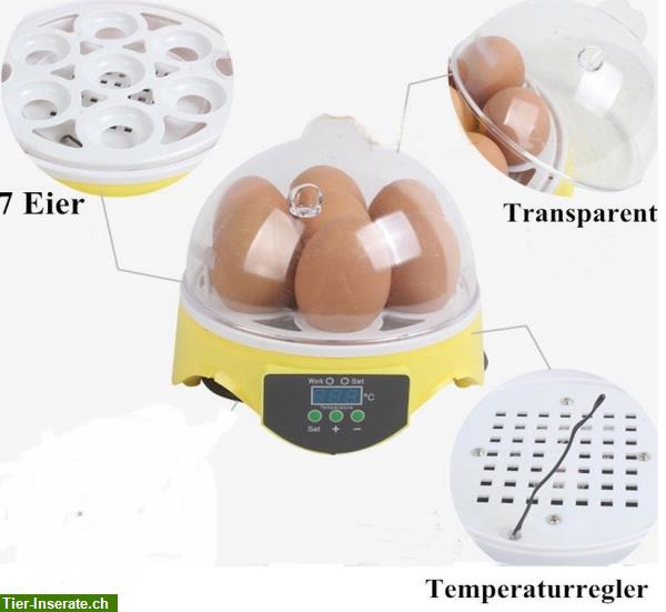 Bild 2: Eier Inkubator, Brutapparat, Motorbrüter, Brutmaschine, Brutkasten