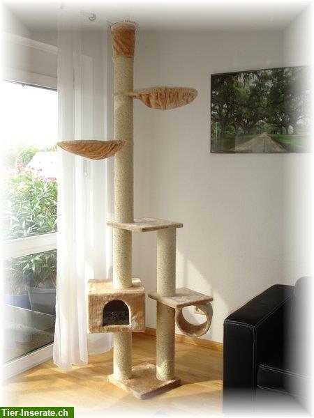 Bild 1: Stabiler Katzenbaum mit Hauslieferung deckenhoch, Fabrikneu