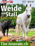Pferdebuch "Stall und Weide" Verlag Cavallo