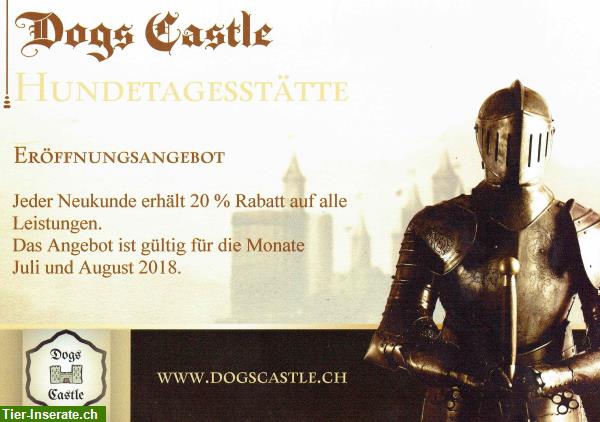 Bild 3: Hundetagesstätte Dogs Castle in Leibstadt