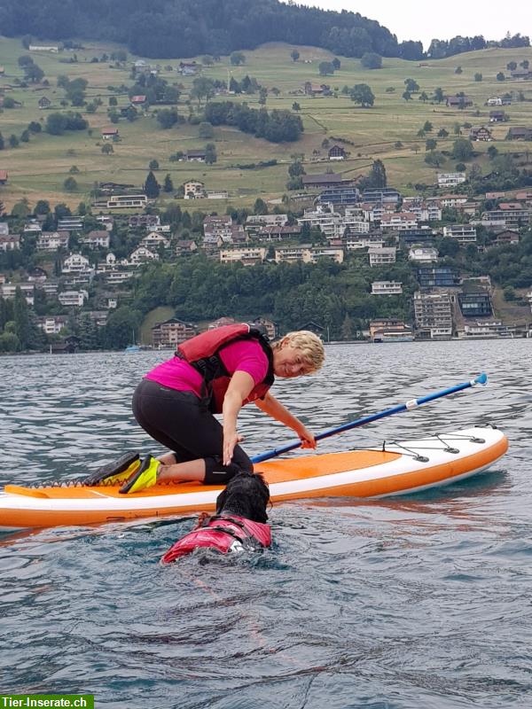 Bild 4: SUP und / oder Kajak mit Hund in Nidwalden