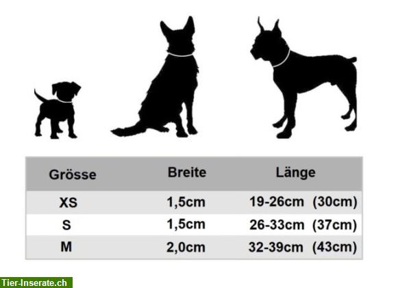 Bild 2: Hundehalsband mit Gravur mit individueller Gravur