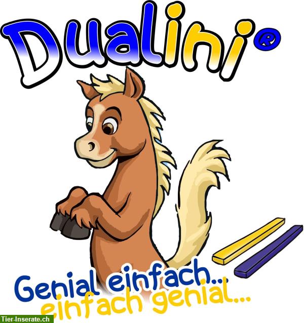 Bild 1: Kurs: Dualini für Kinder Duaktivierung Equikinetic in Richterswil