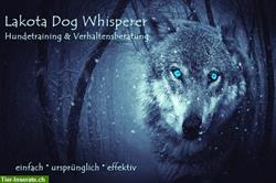 Lakota Dog Whisperer Hundetraining + Verhaltensberatung schweizweit + Online
