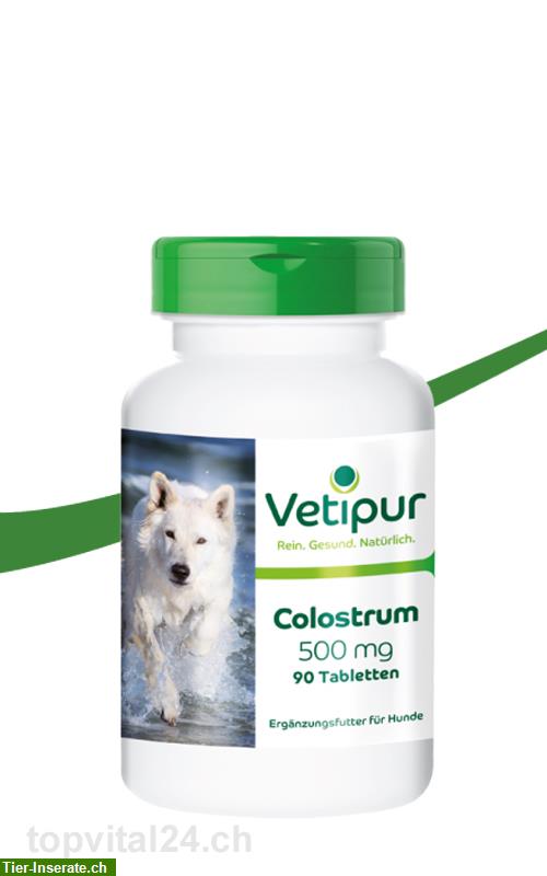 Bild 1: Colostrum 500mg - 90 Tabletten für Hunde | Vetipur