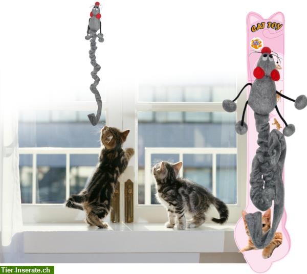 Bild 1: Katzen Spielmaus zum Spielen, die SPIEL MAUS für die Katze