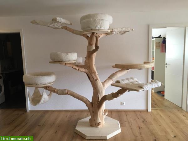 Indoor Naturkratzbaum individuell anpassen auf Kundenwunsch