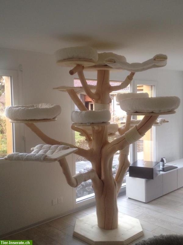 Bild 6: Indoor Naturkratzbaum individuell anpassen auf Kundenwunsch