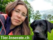 Bild 2: TierSwiss Tierbetreuung für Hunde & Katzen, Region Wohlen/Lenzburg