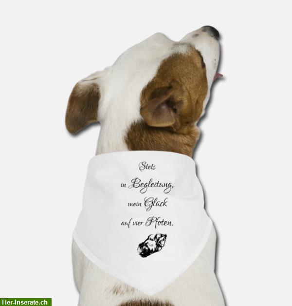 Bild 3: Süßes Spruch-Bandana für Ihren Hund