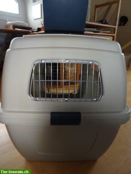 Bild 2: Transportbox Clipper 5 für Hunde oder Katzen