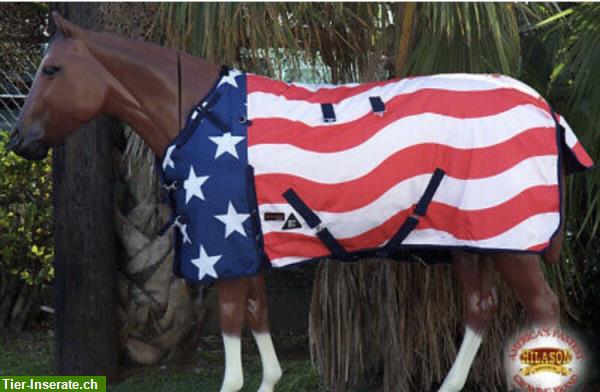 Bild 3: Brandneue USA-Pferdedecke von Hilason zu verkaufen