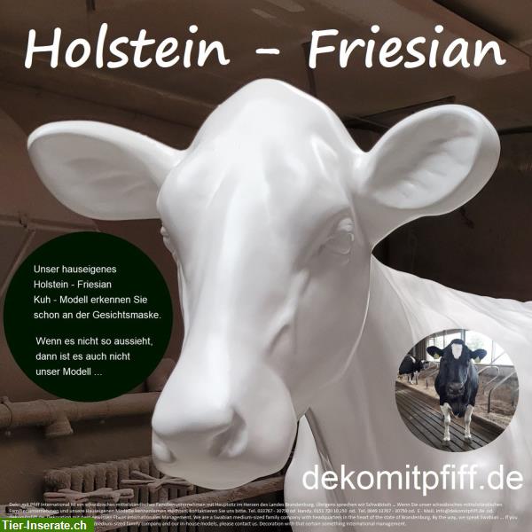 Bild 7: Holstein Friesian Deko Kuh lebensgroß - Modell / HAEIGEMO